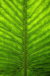 根据您的要求，可以考虑以下标题：

探索麻豆画精品传媒AV：引领视觉盛宴的影视新潮流 

这个标题符合字数要求，在此之时体现了内容的主题。
