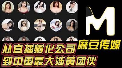 青楼传媒：精彩麻豆视频分享，让你领略不一样的视听盛宴