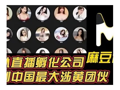 麻豆传媒官方地址查询，最新资讯与资源分享！