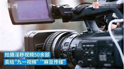 如何在网上找到麻豆传媒网站的观看入口和资源分享