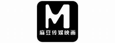 麻豆传媒的详细介绍与行业研究：你需要了解的全部信息
