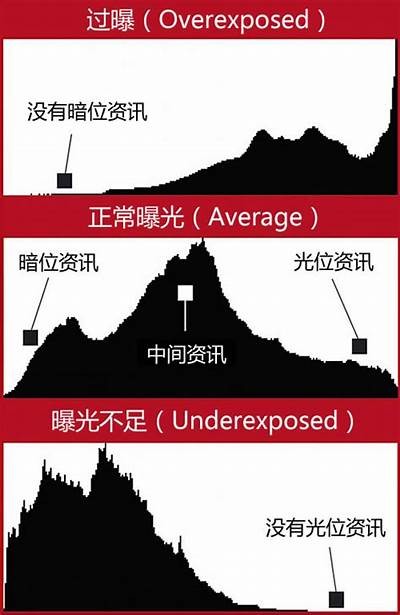 麻豆传媒上门推销服务，让您的产品达成更高曝光与销售