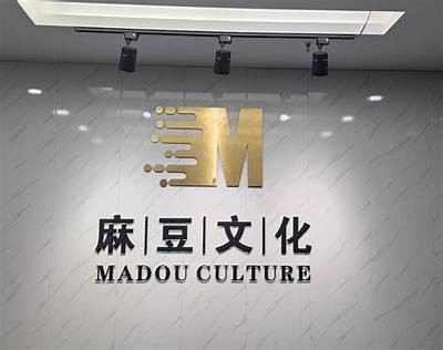 麻豆映工传媒：打造影视行业的新标杆与创意先锋