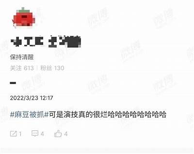 2023年麻豆传媒人气最高作品推荐，值得一看的精彩内容