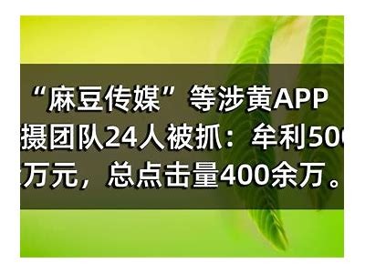 乌鸦传媒精心挑选麻豆，助力内容创作与品牌推广的最佳合作伙伴