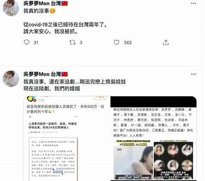 揭秘麻豆传媒番外号封面：背后的故事与创作灵感