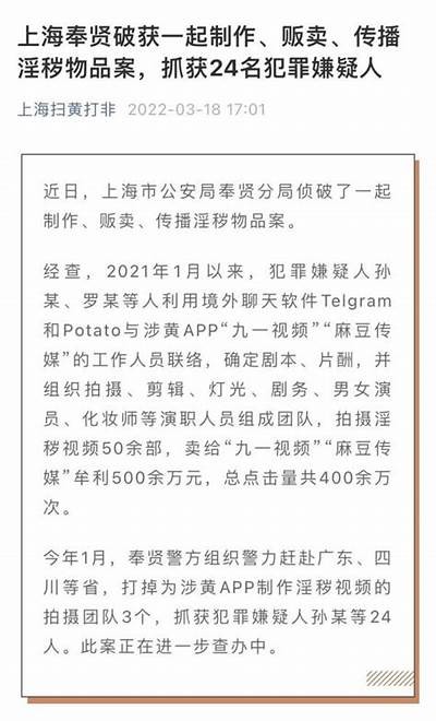麻豆传媒旗下女演员大全，揭秘她们的影视作品与精彩瞬间