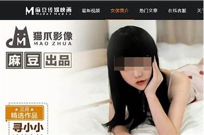 麻豆传媒资源在线观看，获取精彩影视内容的最佳选择。