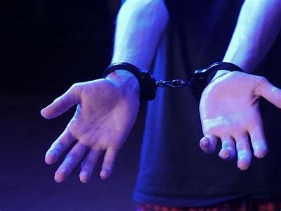 探秘麻豆传媒：揭示主观视觉背后的艺术与创新