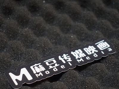 麻豆印画传媒：引领视觉艺术新潮流的创意平台