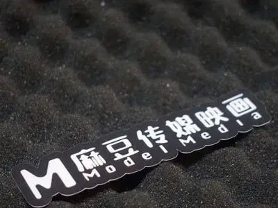 麻豆文化传媒官方网站：影视制作与推广服务平台