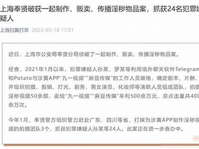 yyme麻豆传媒：探索创意与艺术的完美结合