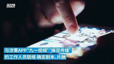 麻豆传媒深入采访：揭秘影视行业的幕后故事与发展动向