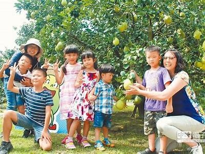 XX麻豆传媒：探索创意与未来的无限可能