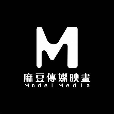 麻豆印象传媒工作证申请指南与使用注意事项