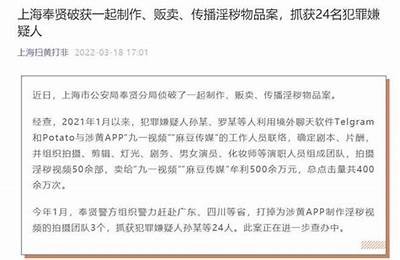 麻豆传媒之约公司前台服务介绍与职能解析