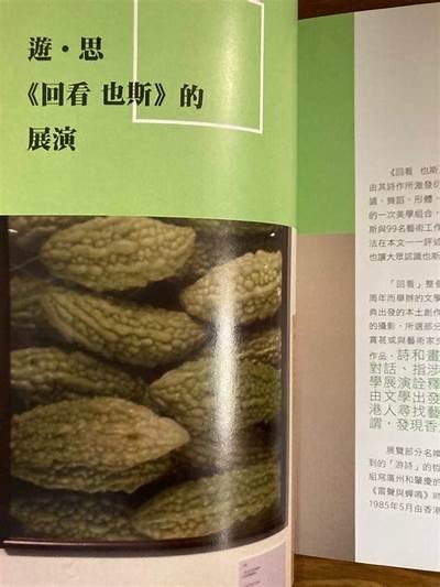 麻豆传媒秧画：探索艺术与视觉的完美结合