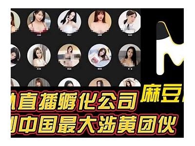 麻豆传媒BT：探索最新影视作品与精彩内容分享平台