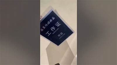 麻豆传媒手机在线视频：畅享高清影视新体验